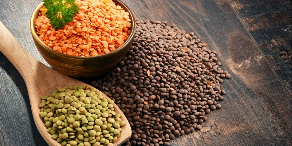 Recipes with lentils | FoodPal