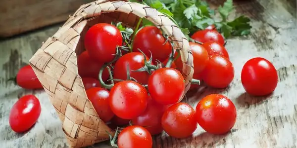 Przepisy z pomidorami