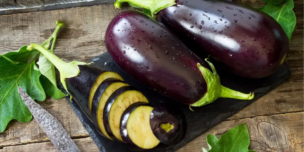 Recipes with eggplant | FoodPal