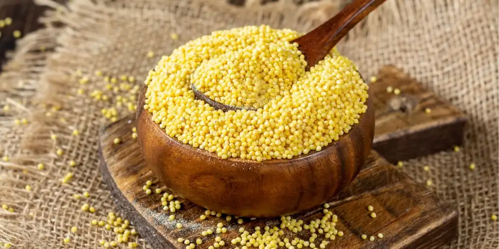 Recipes with millet | FoodPal