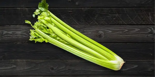 Rezepte mit Sellerie