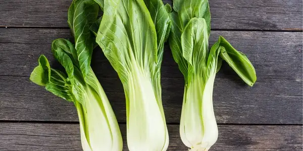 Rezepte mit Pak Choi