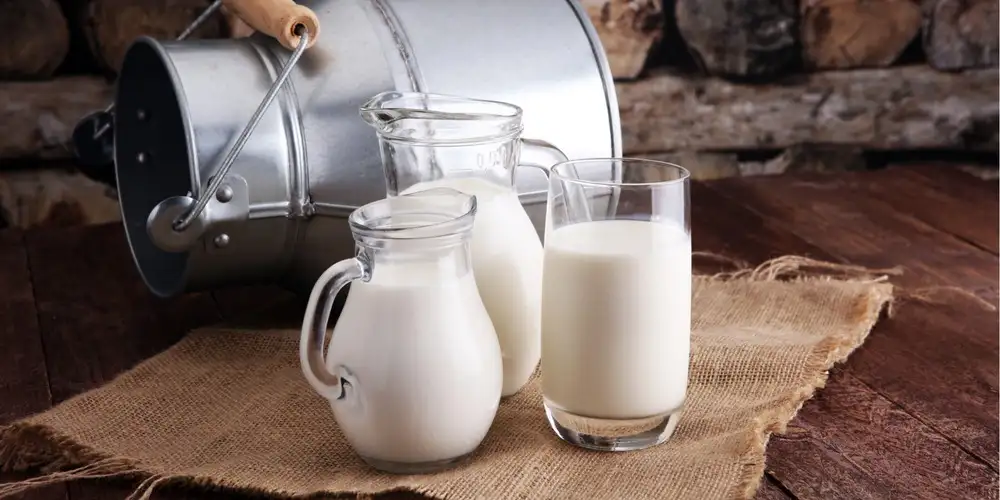 Recipes with milk | FoodPal