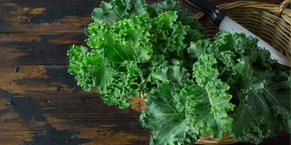 Przepisy z jarmużem