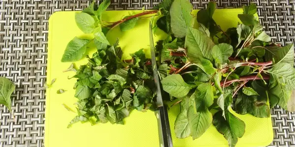 Przepisy z amarantusem