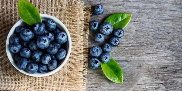 Przepisy z borówkami