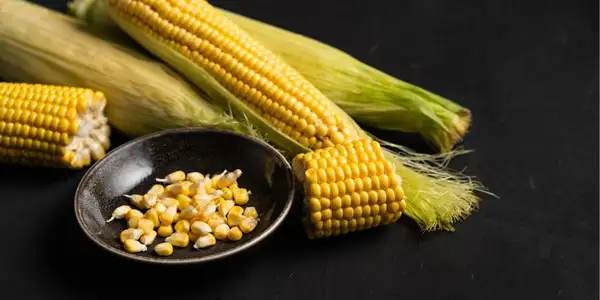 Przepisy z kukurydzą