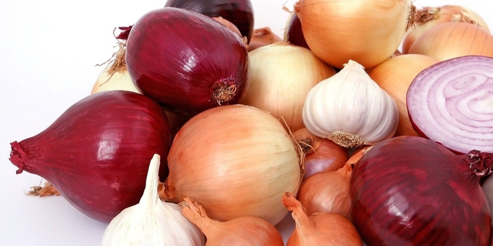 8 Arten von Zwiebeln und was man mit ihnen machen kann | FoodPal
