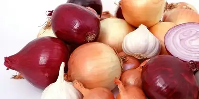 8 rodzajów cebuli i co można z nią zrobić 8 rodzajów cebuli i co można z nią zrobić