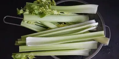 Tudo o que deve saber sobre o aipo Tudo o que deve saber sobre o aipo