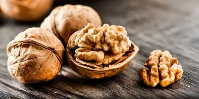 Lo scoop sulle noci: Fatti sulla noce preferita Lo scoop sulle noci: Fatti sulla noce preferita