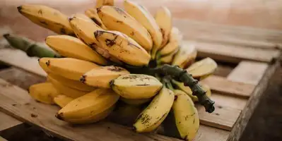 5 ciekawych faktów o bananach 5 ciekawych faktów o bananach