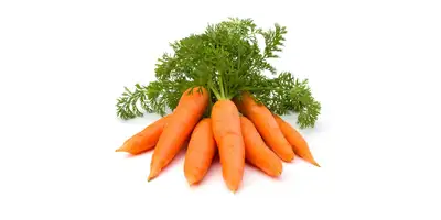 Carote, carote (fresche) - Calorie e valori nutrizionali