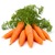 Karotten, Möhren (frisch)