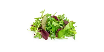 Salad Mix, ensalada mixta (preparada)