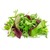 Salat Mix, gemischter Salat (Fertigprodukt)