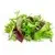 Salat Mix, gemischter Salat (Fertigprodukt)