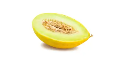 Casabamelon (świeży)