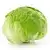 Iceberg lettuce (fresh)