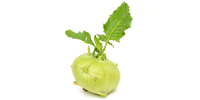 Kohlrabi (frisch)