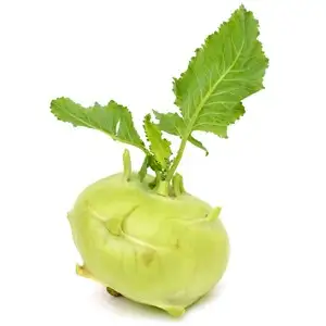 Kohlrabi (fresco)