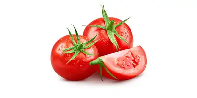 Tomates em cacho (frescos)