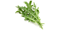 Rucola (frisch)