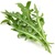 Rucola (frisch)