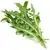 Rucola (fresca)