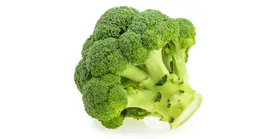 Brócolos (frescos)