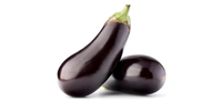 Aubergine (frisch)