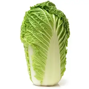 Kapusta pekińska, kapusta selerowa (świeża)
