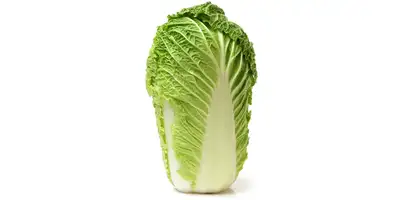 Col china, col de apio (fresca)