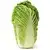 Chinese cabbage, celery cabbage (fresh)