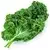 Kale (fresh)