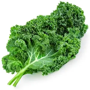 Col rizada (congelada)