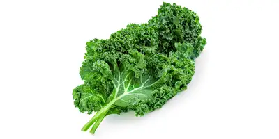 Chou vert (congelé)