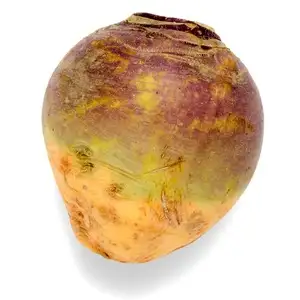 Sueco, nabo (em bruto)