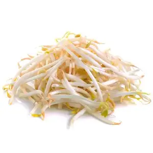 Brotes de soja, brotes de soya