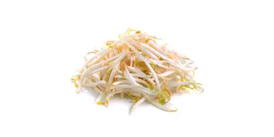 Rebentos de feijão mungo, rebentos de feijão de soja