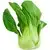 Pak Choi (frisch)