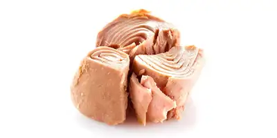 Tuńczyk (w puszce, w oleju)
