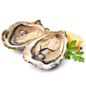 Ostryga, ostrygi (w puszce)