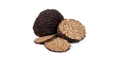 Trufla, trufla z Perigord (świeża)