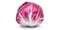 Radicchio, Zichorie (frisch)