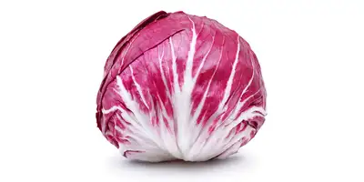 Radicchio, Zichorie (frisch)