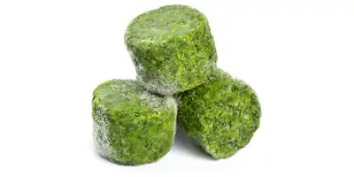 Espinafres cremosos (congelados)