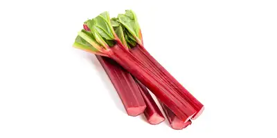 Rhubarb (fresh)