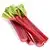 Rhubarb (fresh)