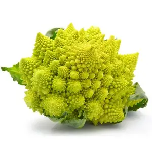 Romanesco (fresco)